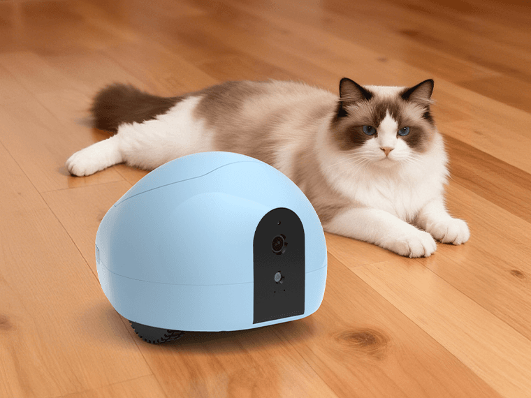 🐾 A Little Robot, A Big Connection